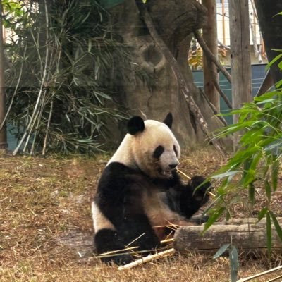 pne26952's profile picture. 北の大地の北の方／運動音痴／小太り中年女性がハーフマラソン(※最終目標です)完走を目指す／まずは5kmと10kmの大会で完走を目指すよ！