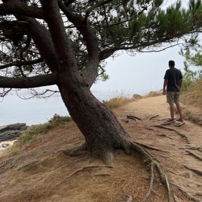 adajeto's profile picture. Always leairning