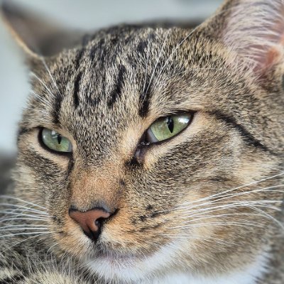 gedmas22's profile picture. 