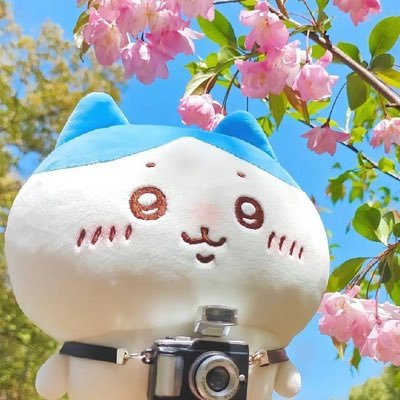 YeLanXi0714's profile picture. TwT