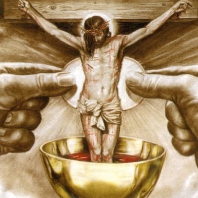 Joey_Eucharistic_Warrior Profile