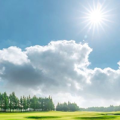 ghalyhabi's profile picture. 🇳🇪🇳🇬