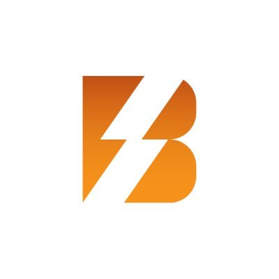 Bitcoin merchant onboarding | Bitcoin education and outreach | Translation and Publishing | Bitcoin mining | Organizing Bitcoin-related events | BSL Promotion