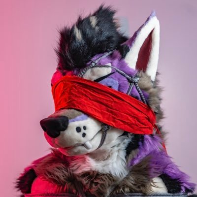 🔞 • Welcome to the dark and shiny side • 24 • PFP: @ChatahSpots BNR: @firrawoof • SFW: @Akaru_Wolf
