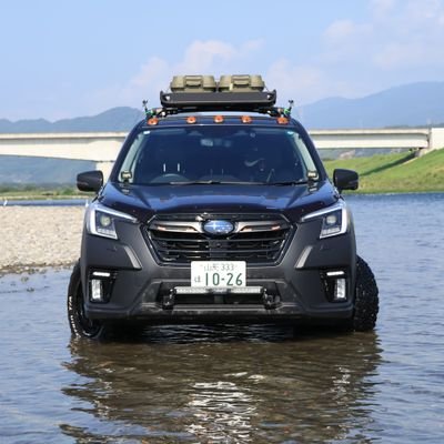 foreforeforesta's profile picture. 