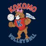 KHS_VolleyKats's profile picture. KHS Volleyball Twitter