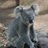 misoz_in's profile image