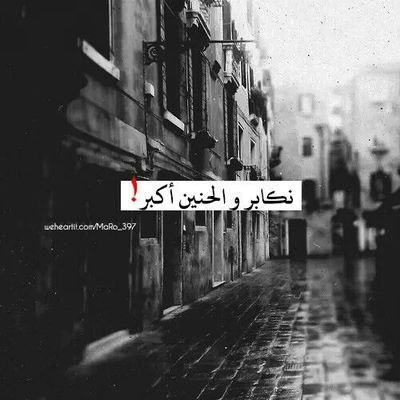 ibro721's profile picture. 