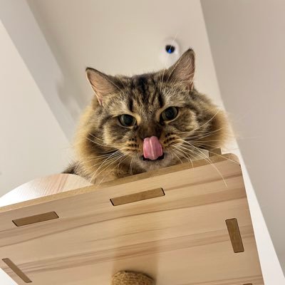 SKhamisak's profile picture. 