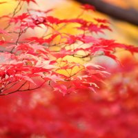 みさ和31@趣味人 (@misawa31) 's Twitter Profile Photo