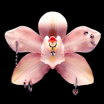 JeremWalynn's profile picture. Writing❕Listening❕🦴🐁🤍