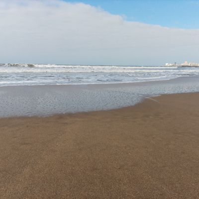 AlanGutirr26804's profile picture. 