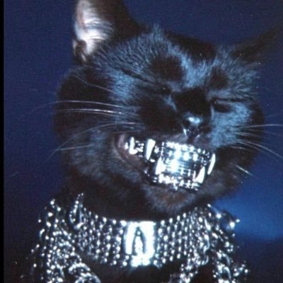 IAMDARKCRYPTO Profile Picture
