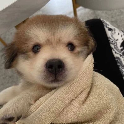 Jianmeimia's profile picture. 