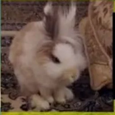 HamRip1232's profile picture. 