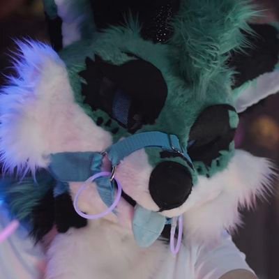 🇫🇷 | Age 20 | Single 🧍♂️| Admin Sys/Net 👨💻 | Adults only 🔞 |
Fruity Deer Fox 🦊🦌
||
Dm's open 💫