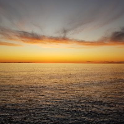 Matttast1c's profile picture. 