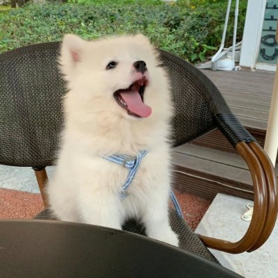 CrystalGlowoo's profile picture. 星空を見上げるのが好きです🌌
悩みが小さくなる気がするから。
夜の空気って特別な感じがしますよね。
