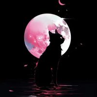 VI (@ruby_jinx) 's Twitter Profile