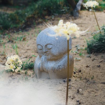 kanrishaistj's profile picture. 08男