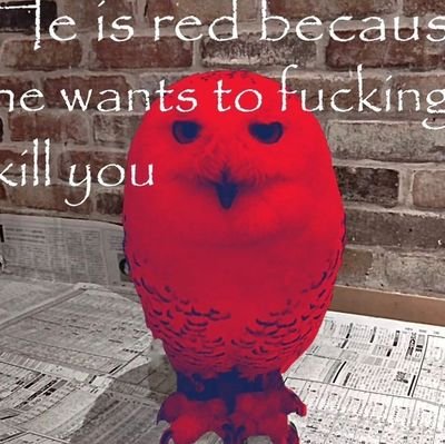 kiielmao's profile picture. hi i do art
they slash them. 18. not rlly social here (social anxiety) X_x