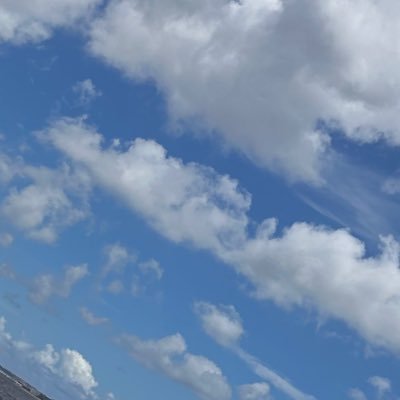 wYpwOFU1mT44951's profile picture. 出会い❌見る専