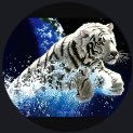 CyrusSwitchClip's profile picture. This account is for self-entertainment only. If you want to look at my switch clips go to my YouTube channel. Do not turn on notification if you want to follow