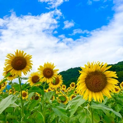 BROS.34期生⭐︎無言フォロー失礼します🙇♀️人見知りですがフォロー大歓迎🙌非公開の方🙏ましゃの事知らないことも多いので教えて頂けたら嬉しいです⭐︎のんびりした性格でボケててゆるっとしてますので誤字脱字お許しくださいm(_ _)m 気持ち良く!楽しく!がモットー 🍺も好き♡ 今を楽しむアラフィフ☺️