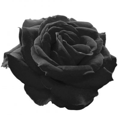 8O1RBJRBt750380's profile picture. 小説家になろう カクヨムに投稿してるド底辺作家。ゲロ甘系ラブコメが大好き。