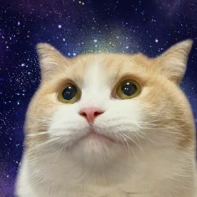 PatapataTeiou's profile picture. 10代の生々しいツイート