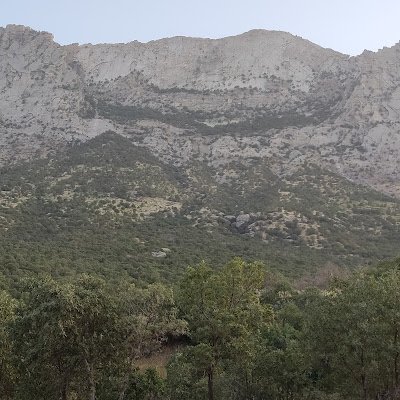 ئیسلام بەبێ منیش هەر سەر دەکەوێت
بەڵام من بەبێ ئیسلام سەرلێشێواو دەبم
Islam will still succeed without me
But I would be confused without Islam