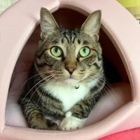 exp@余空 (@exp0924) Twitter profile photo