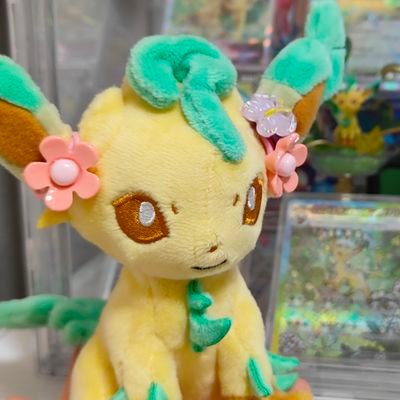 舞猫さんのプロフィール画像