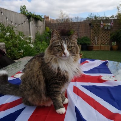 philippabradley's profile picture. 