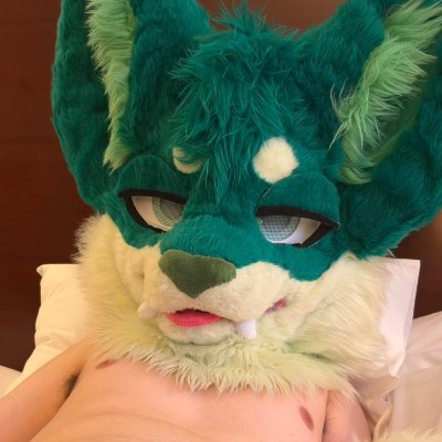 20 - he/they - bi - kitty cat - 5’11 sub top (bottom if you're lucky ;3) - dms open :3c 🔞