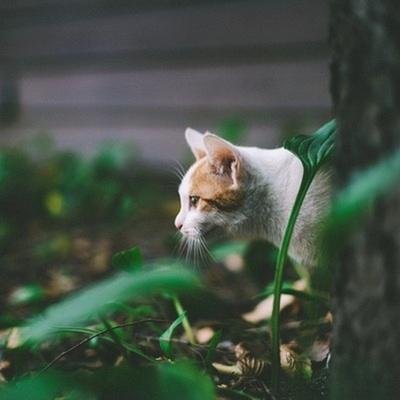 JonesMHeidi's profile picture. 💪 Mindset coach | Helping others unlock their potential