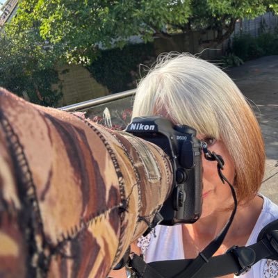 Devon birder and artist. Birds, bees, butterflies, bugs & flowers. Engaging with nature as much as possible. Also on Bluesky. D500, 500 pf