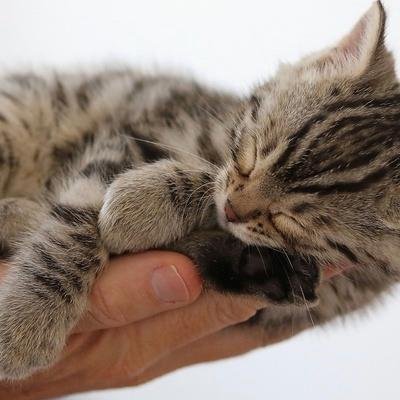 Nancykia23's profile picture. 🚀 Building the future, one idea at a time | Always learning