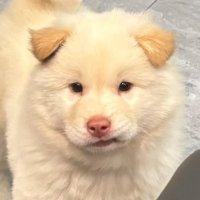 GP 🧚🏻♀️ (@gingphai_bb) 's Twitter Profile