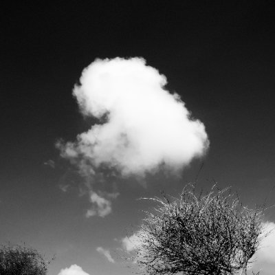 feels like forever • minimal • abstract • fine art photography https://t.co/dNK0EXtg0M