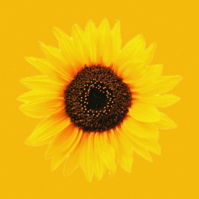 wooning0108's profile picture. 일단 냅다 #刘宇宁 하기ㅋ + 혼잣말🗣️ +보정🎨 +AI번역