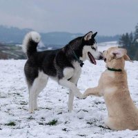 Emma_Lead (@mplataki) 's Twitter Profile