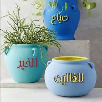 Memy (@alsayed99691206) 's Twitter Profile
