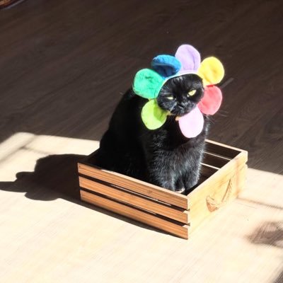 Vanyaaaab127133's profile picture. dev in prod env