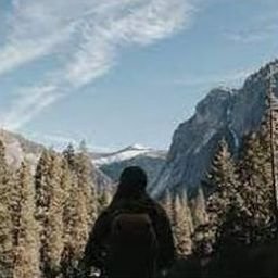 Xoqoo973's profile picture. 