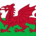 GairyDydd🏴 (@gair_y_dydd) Twitter profile photo GairyDydd🏴 (@gair_y_dydd) Twitter profile photo