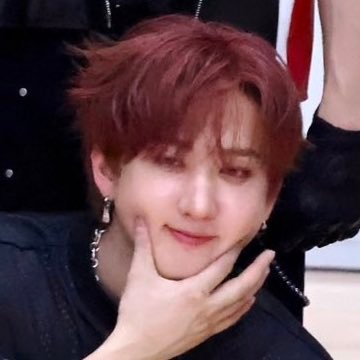 skzpopper 🚩🚩🚩| phoenix enthusiast 合☯︎ @chriischickbvng backup