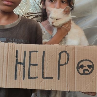 I am a young man, 15 years old. I support my family. My family and I are suffering from bad conditions. I want you to help me and my family from hunger, disease
