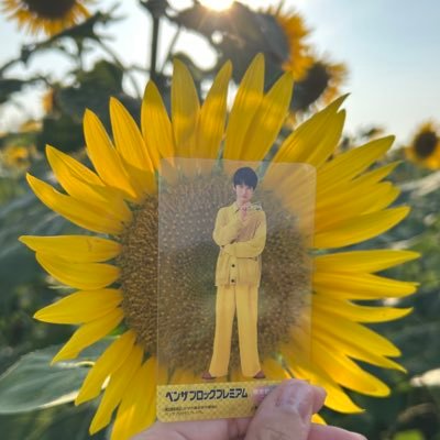 基本的に本郷奏多くんファン垢。殿堂入り作品は指恋💕無言フォロー失礼します。プリキュア🖤🤍🌸🐰、Girls²🩵💙🧡💜🤍🩷💛、仮面ライダーウィザード💍、VALSHE🎤👑、コナン💊、ハローキティ🎀、歴史・古典文学🎎、ちゃお「シャイニング!」🌟、SKE熊ちゃんも沼! RPといいね多め