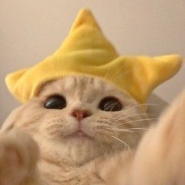 Gikete142's profile picture. idk what im looking for